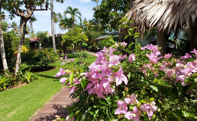 Hotel for Sale Benelux 1, Las Terrenas 32200. Photo#6