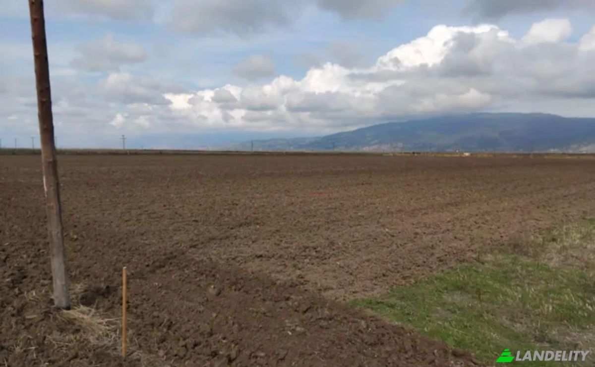 Farm/Ranch for Sale Odos Hvris Onomasia, Sotirio 415 00, Sotirio, Thessalia, Decentralized Administration of Thessaly and Central Greece, Greece. Photo 11