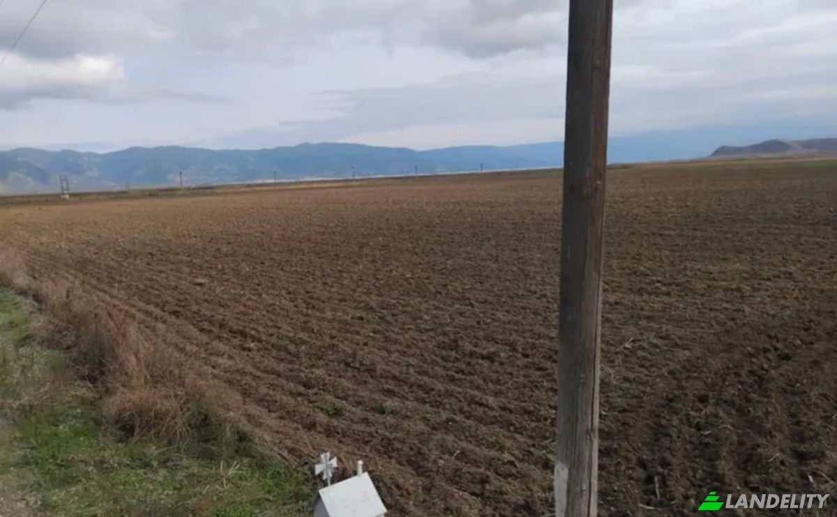 Farm/Ranch for Sale Odos Hvris Onomasia, Sotirio 415 00, Sotirio, Thessalia, Decentralized Administration of Thessaly and Central Greece, Greece. Photo 12