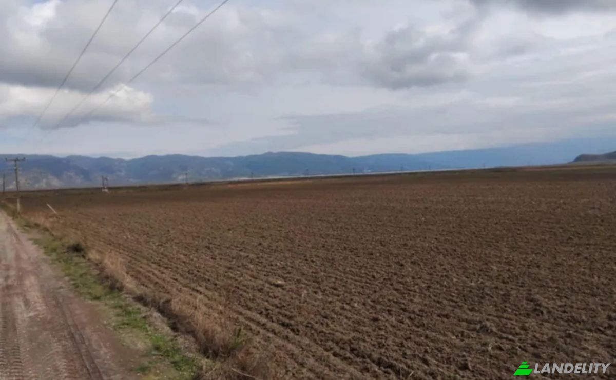 Farm/Ranch for Sale Odos Hvris Onomasia, Sotirio 415 00, Sotirio, Thessalia, Decentralized Administration of Thessaly and Central Greece, Greece. Photo 13