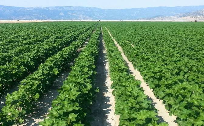 Farm/Ranch for Sale Odos Hvris Onomasia. Photo#17