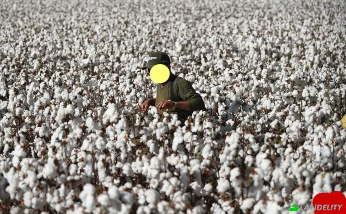 Farm/Ranch for Sale Odos Hvris Onomasia, Sotirio 415 00, Sotirio, Thessalia, Decentralized Administration of Thessaly and Central Greece, Greece. Photo 18