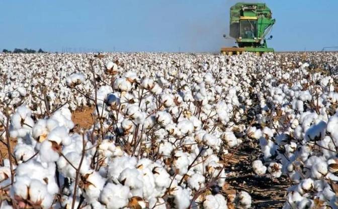 Farm/Ranch for Sale Odos Hvris Onomasia. Photo#19