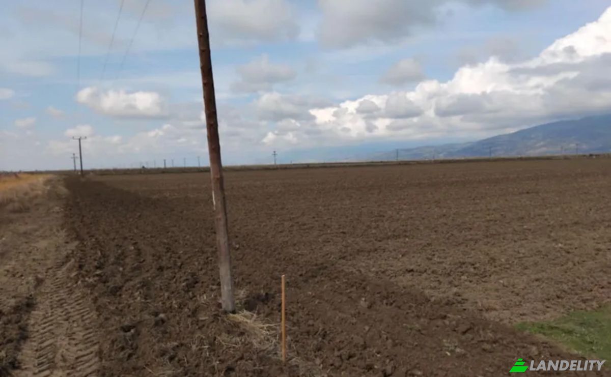 Farm/Ranch for Sale Odos Hvris Onomasia, Kileler 415 00, Armenio, Thessalia, Decentralized Administration of Thessaly and Central Greece, Greece. Photo 11