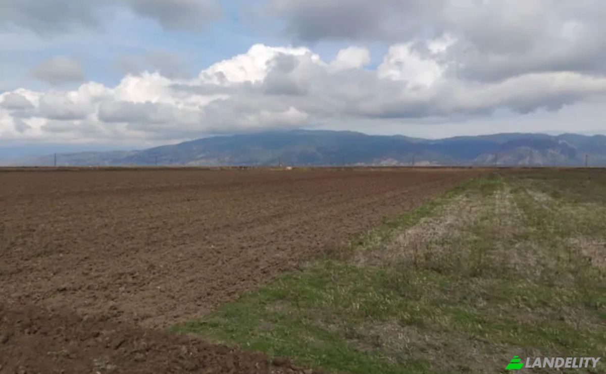 Farm/Ranch for Sale Odos Hvris Onomasia, Kileler 415 00, Armenio, Thessalia, Decentralized Administration of Thessaly and Central Greece, Greece. Photo 12