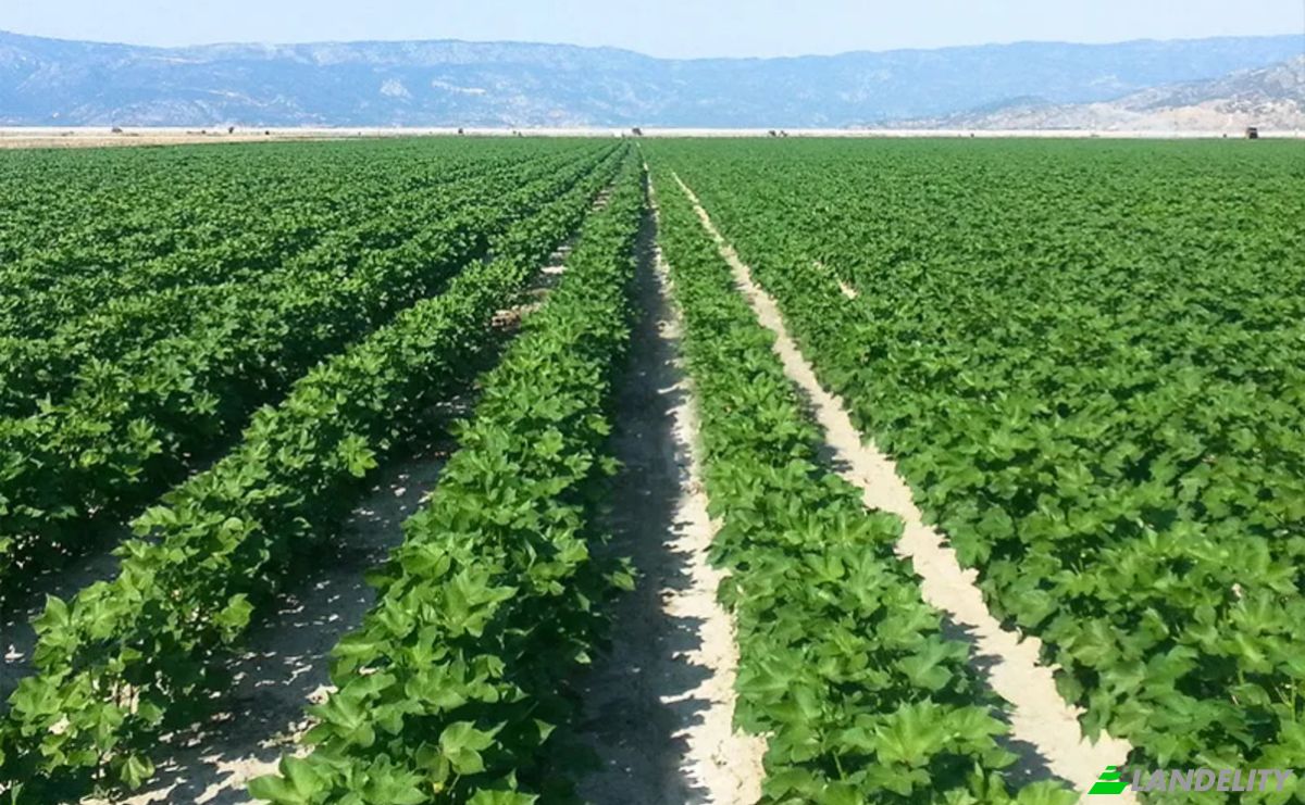 Farm/Ranch for Sale Odos Hvris Onomasia, Kileler 415 00, Armenio, Thessalia, Decentralized Administration of Thessaly and Central Greece, Greece. Photo 16