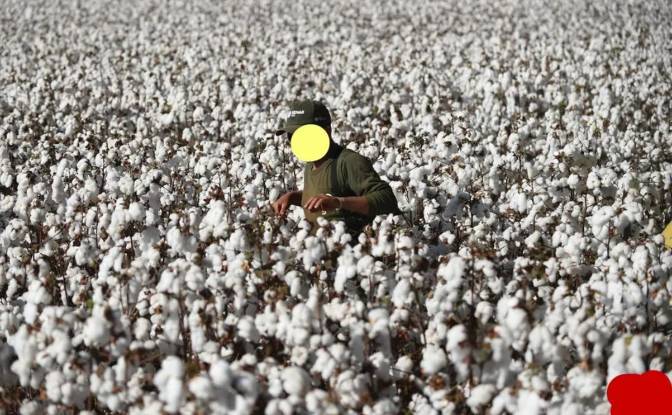 Farm/Ranch for Sale Odos Hvris Onomasia. Photo#17 Farm/Ranch for Sale Odos Hvris Onomasia. Photo#17