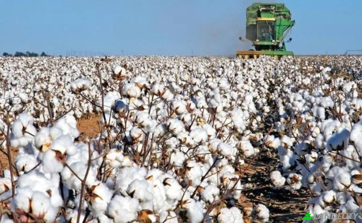 Farm/Ranch for Sale Odos Hvris Onomasia, Kileler 415 00, Armenio, Thessalia, Decentralized Administration of Thessaly and Central Greece, Greece. Photo 18