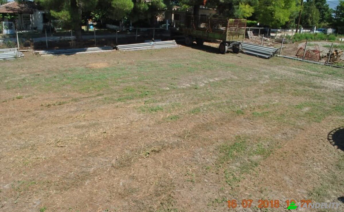 Farm/Ranch for Sale Odos Hvris Onomasia, Sotirio 415 00, Sotirio, Thessalia, Decentralized Administration of Thessaly and Central Greece, Greece. Photo 9