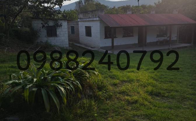 Farm/Ranch for Sale - Quito, Ecuador
