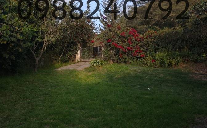 Farm/Ranch for Sale Via Sin Nombre, Quito 170209. Photo#2
