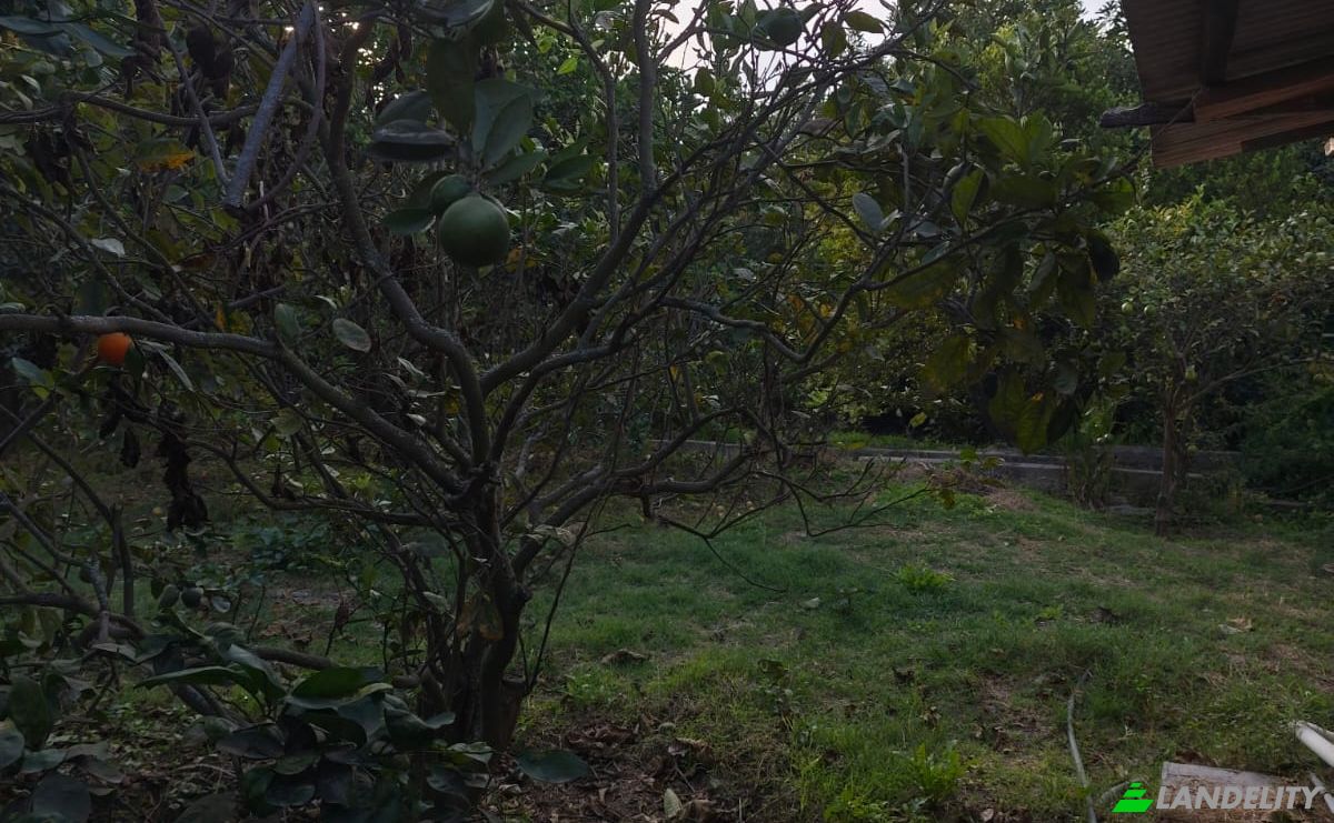 Farm/Ranch for Sale Via Sin Nombre, Quito 170209, Quito, Metropolitan District of Quito, Pichincha, Ecuador. Photo 3