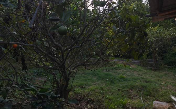 Farm/Ranch for Sale Via Sin Nombre, Quito 170209. Photo#3