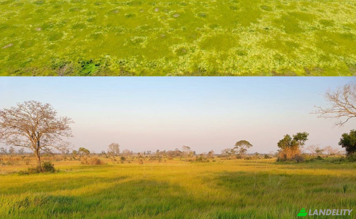 Investing/Development for Sale 011102 Paso Barreto, Paso Barreto, Concepcion Department, Paraguay. Photo 3
