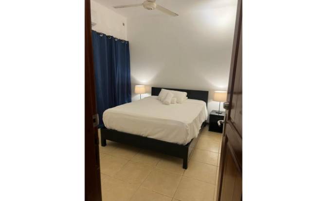 Apartment for Sale Francisco Alberto Caamano Deno. Photo#11