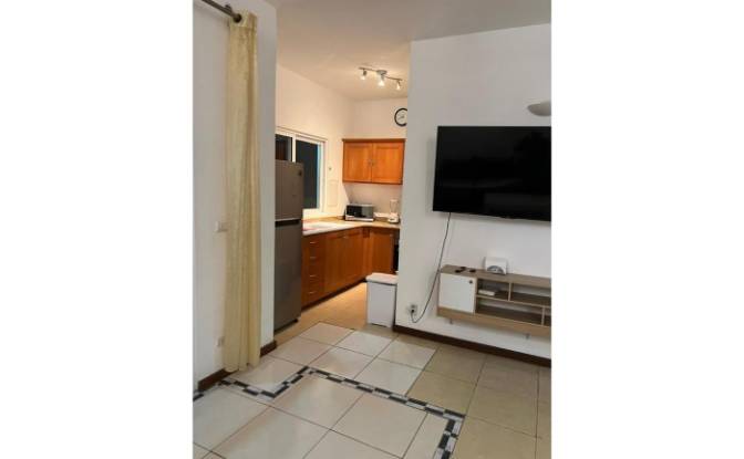 Apartment for Sale Francisco Alberto Caamano Deno. Photo#15