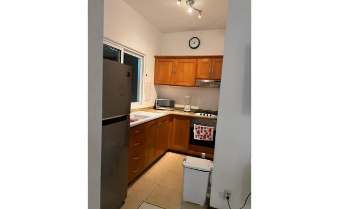 Apartment for Sale Francisco Alberto Caamano Deno. Photo#17