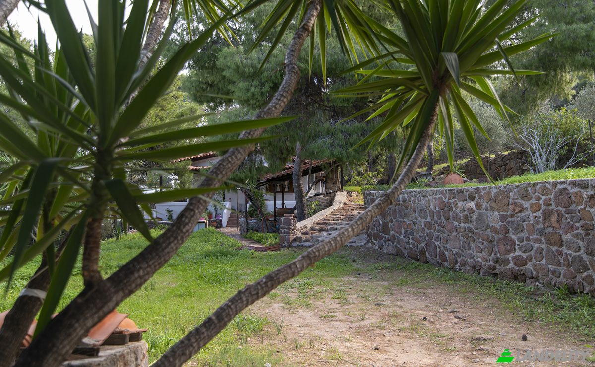 Casa de una sola familia en venta Akti Portes 1, Portes 180 10, Aegina, Attica, Decentralized Administration of Attica, Greece. Foto 7