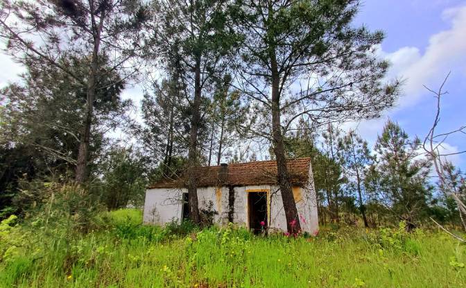 Lote de terreno en venta - Grandola, Portugal