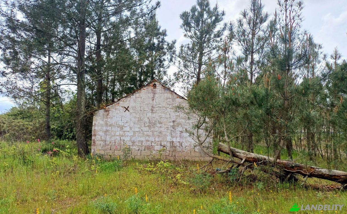 Lote de terreno en venta 7570 Grandola, Grandola, Setubal, Portugal. Foto 2