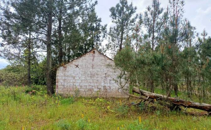 Lote de terreno en venta 7570 Grandola, Grandola. Foto#2