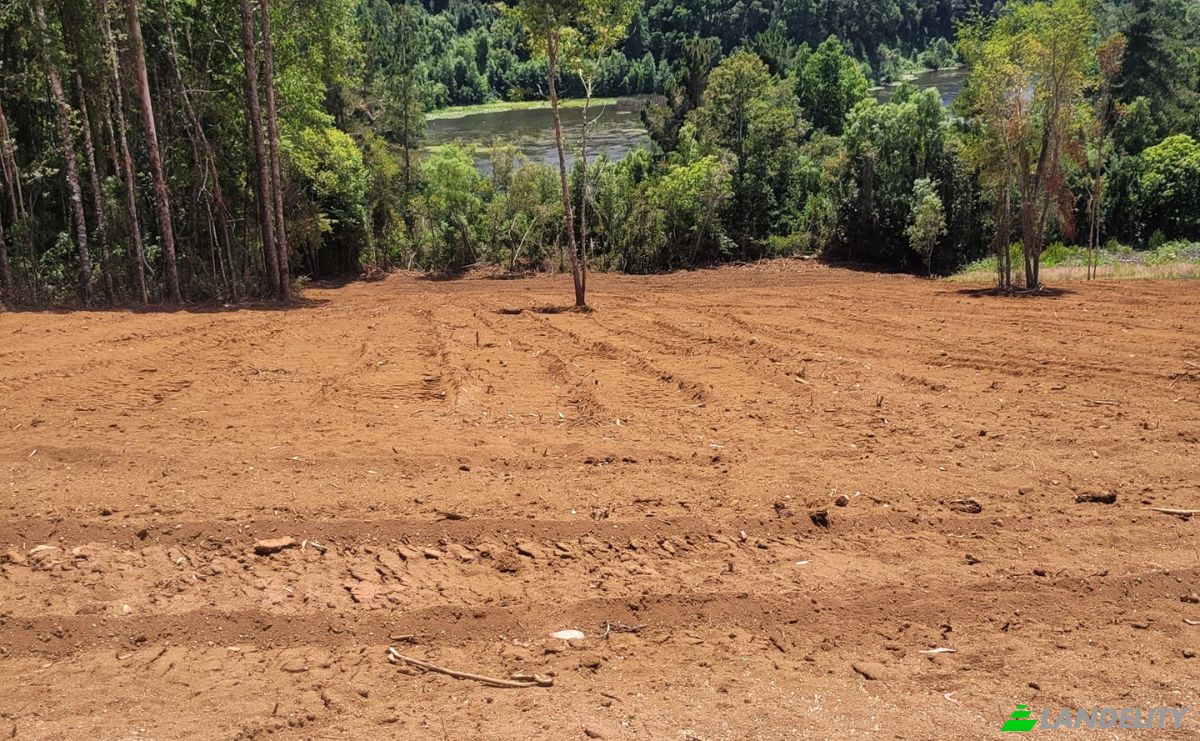 Lote de terreno en venta Ruta 202, Valdivia, Los Ríos, Chile. Foto 1