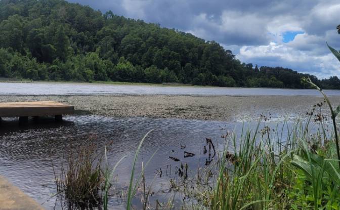 Lote de terreno en venta Ruta 202, Valdivia. Foto#10