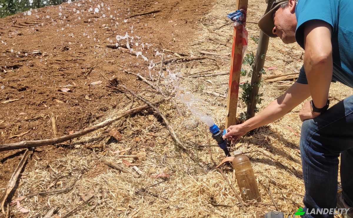 Lote de terreno en venta Ruta 202, Valdivia, Los Ríos, Chile. Foto 2