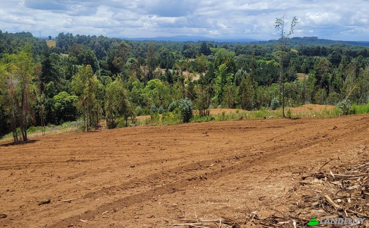 Lote de terreno en venta Ruta 202, Valdivia, Los Ríos, Chile. Foto 3