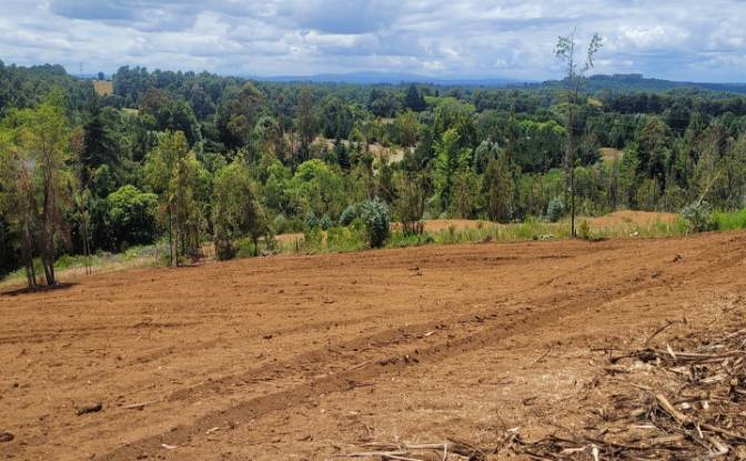 Lote de terreno en venta Ruta 202, Valdivia. Foto#3