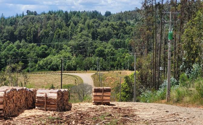 Lote de terreno en venta Ruta 202, Valdivia. Foto#4