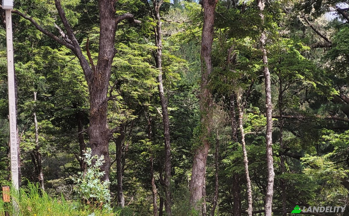 Lote de terreno en venta Ruta 202, Valdivia, Los Ríos, Chile. Foto 5