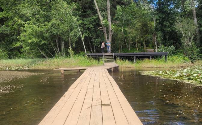 Lote de terreno en venta Ruta 202, Valdivia. Foto#8