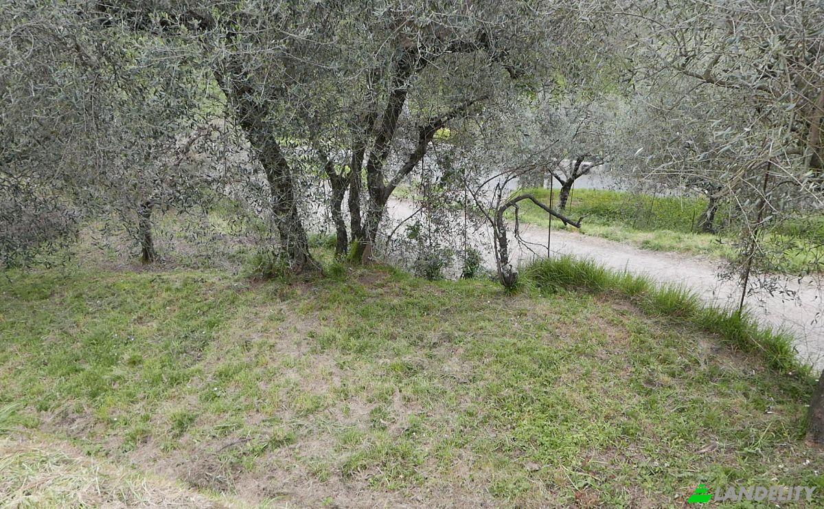 Квартира продаж Localita Costa di Tranci, 19020 Calice al Cornoviglio SP, Calice al Cornoviglio, Province of La Spezia, Liguria, Italy. Фото 4