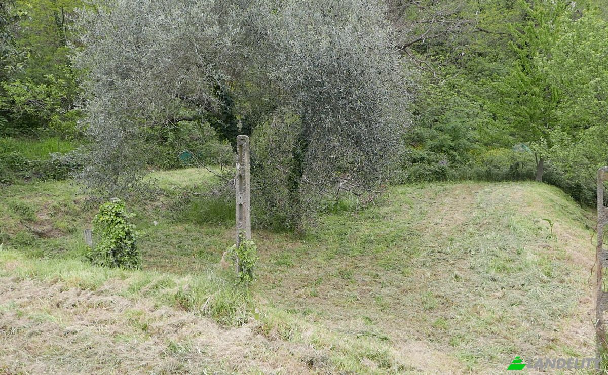Квартира продаж Localita Costa di Tranci, 19020 Calice al Cornoviglio SP, Calice al Cornoviglio, Province of La Spezia, Liguria, Italy. Фото 5