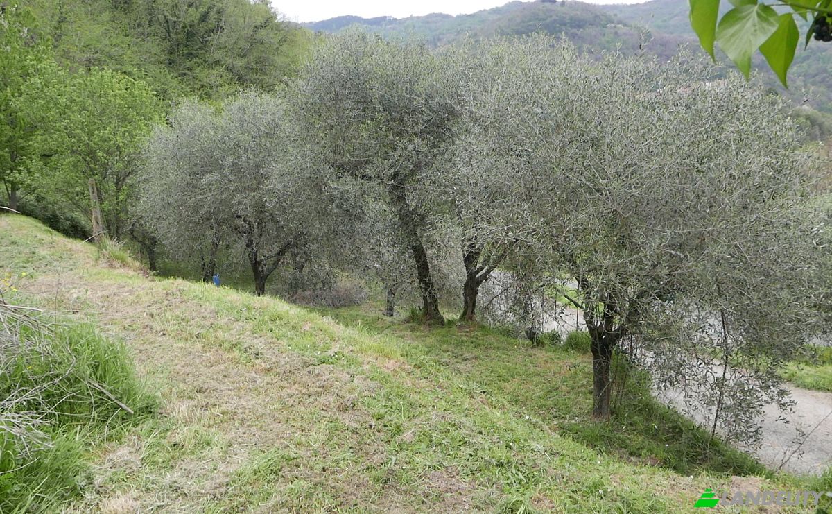 Квартира продаж Localita Costa di Tranci, 19020 Calice al Cornoviglio SP, Calice al Cornoviglio, Province of La Spezia, Liguria, Italy. Фото 6