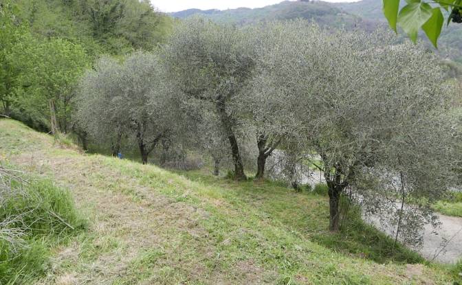 Квартира продаж Localita Costa di Tranci. Фото#6