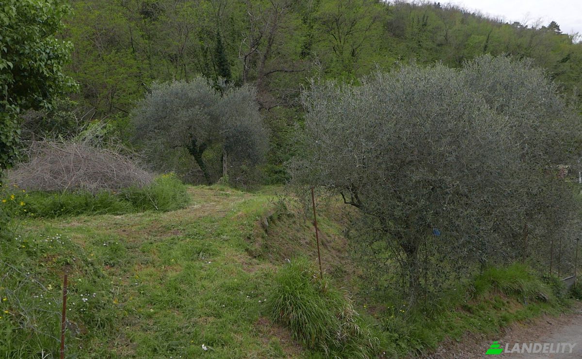 Квартира продаж Localita Costa di Tranci, 19020 Calice al Cornoviglio SP, Calice al Cornoviglio, Province of La Spezia, Liguria, Italy. Фото 7