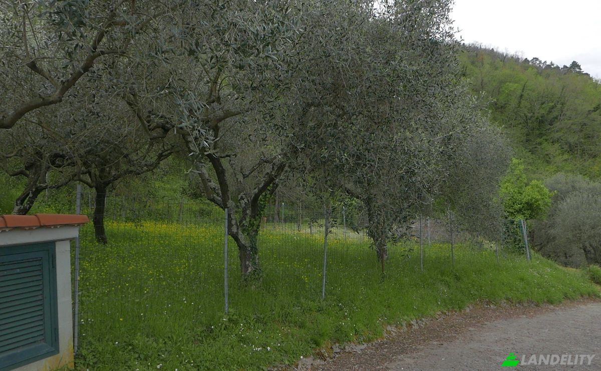 Квартира продаж Localita Costa di Tranci, 19020 Calice al Cornoviglio SP, Calice al Cornoviglio, Province of La Spezia, Liguria, Italy. Фото 8