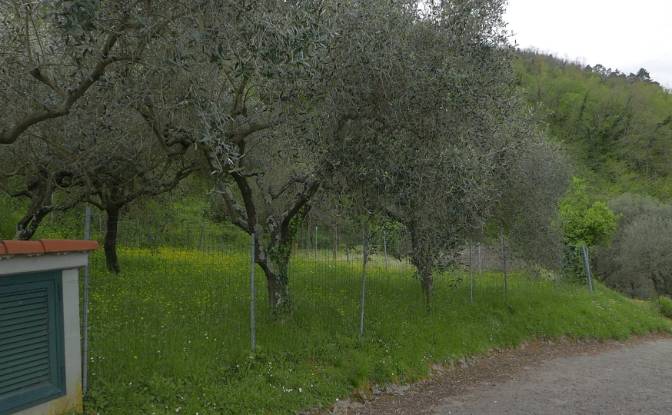 Квартира продаж Localita Costa di Tranci. Фото#8