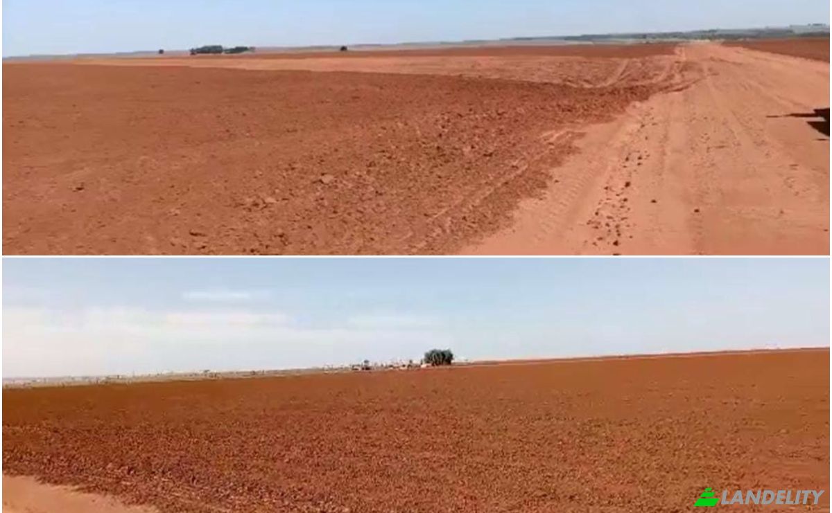Investing/Development for Sale KaAguy Pora, 140603, Com Indig y Miri, Ypejhu, Canindeyu Department, Paraguay. Photo 3