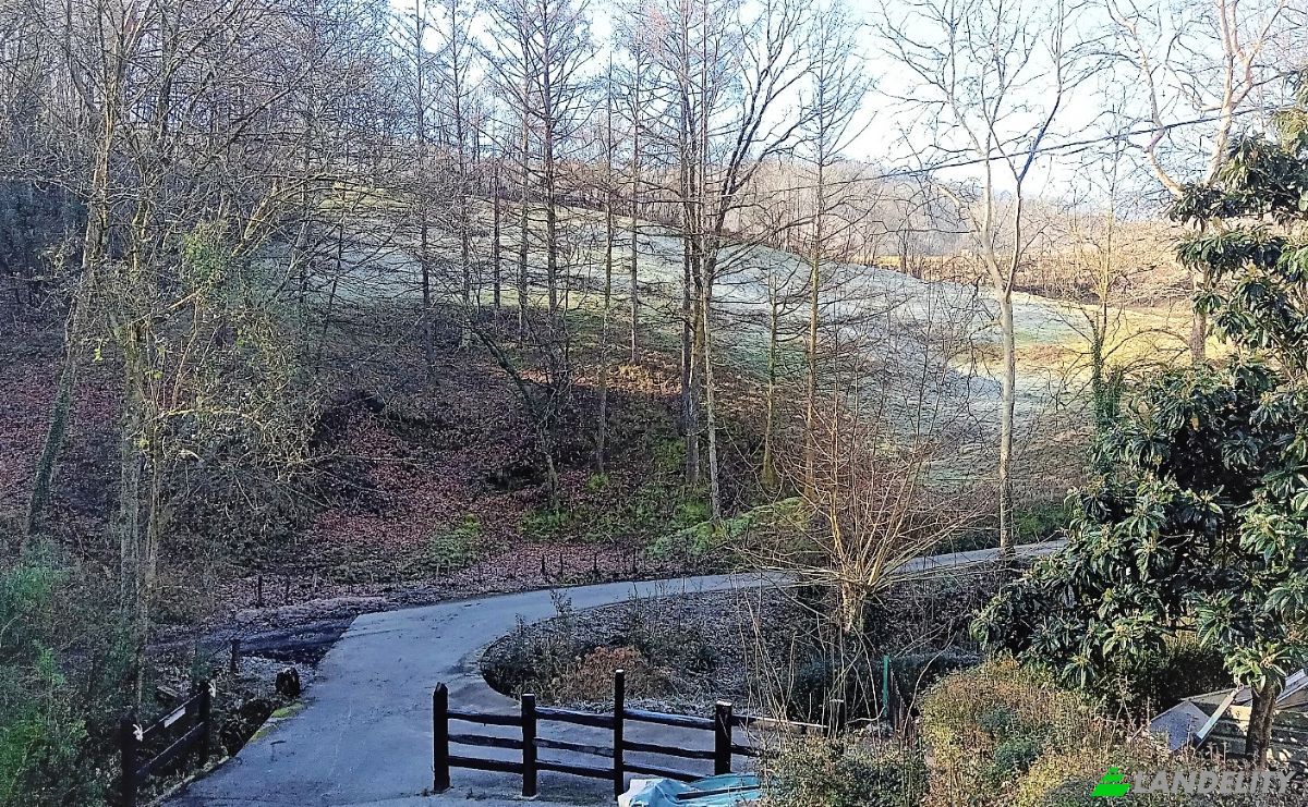 Timeshare for Sale Oieleku Bidea, Oiartzun, Gipuzkoa, Basque Country, Spain. Photo 3