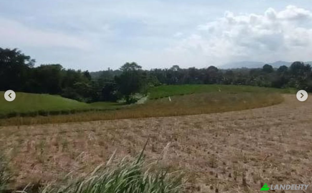 Земельна ділянка в оренду Tegal Mengkeb, Tabanan Regency, Bali, Indonesia, Selemadeg Timur. Фото 1