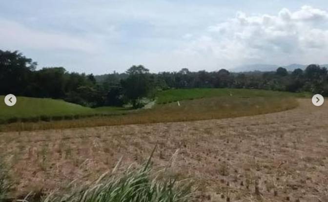 Земельна ділянка Оренда - Tegal Mengkeb, Indonesia