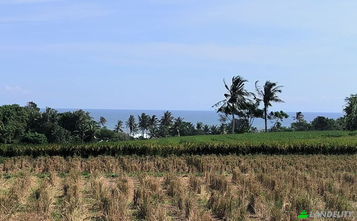 Земельна ділянка в оренду Tegal Mengkeb, Tabanan Regency, Bali, Indonesia, Selemadeg Timur. Фото 2