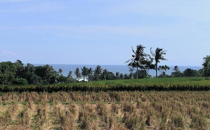 Земельна ділянка в оренду Tegal Mengkeb. Фото#2