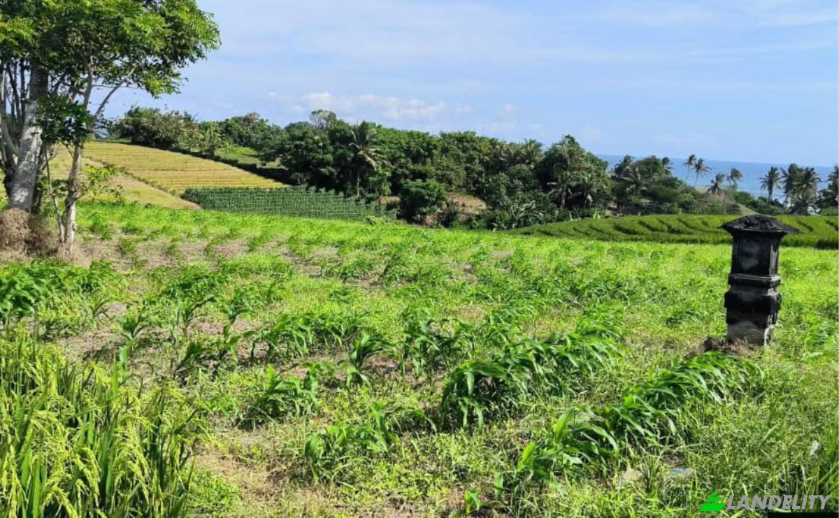 Земельна ділянка в оренду Tegal Mengkeb, Tabanan Regency, Bali, Indonesia, Selemadeg Timur. Фото 3