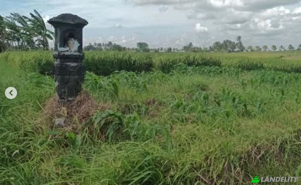 Земельна ділянка в оренду Tegal Mengkeb, Tabanan Regency, Bali, Indonesia, Selemadeg Timur. Фото 4