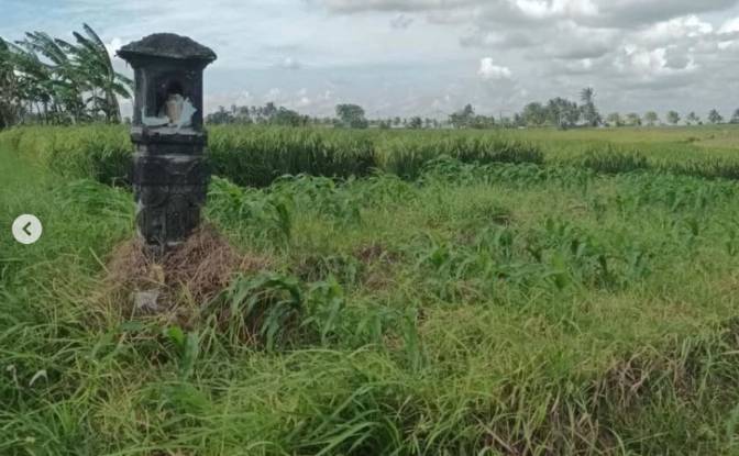 Земельна ділянка в оренду Tegal Mengkeb. Фото#4