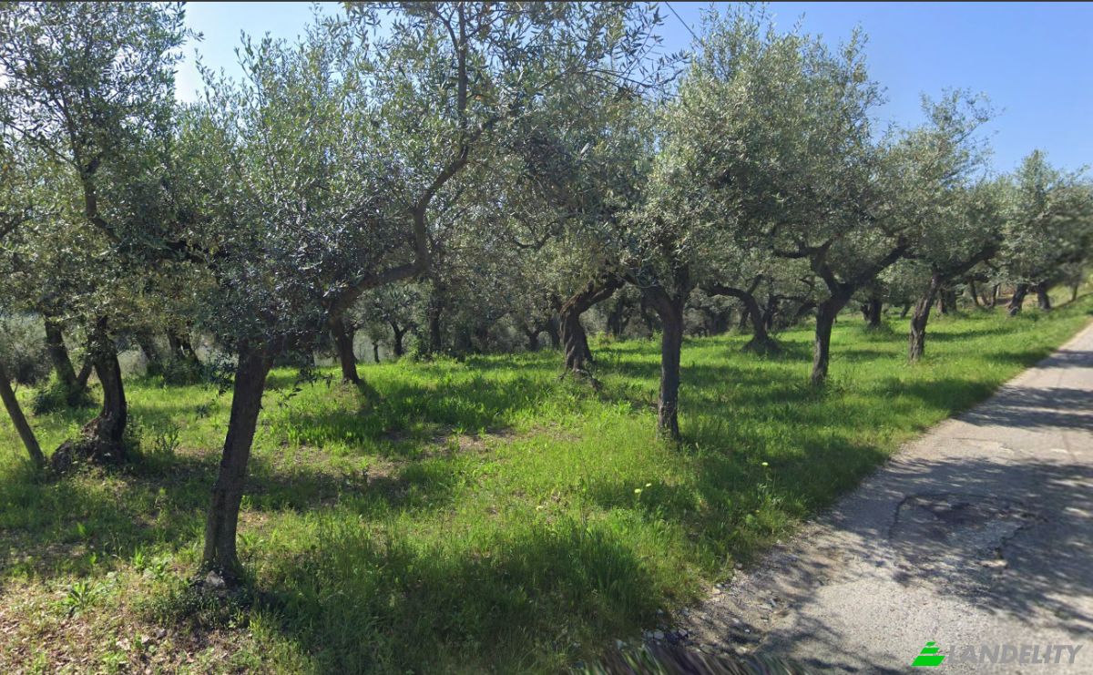 Grundstück zu verkaufen Contrada Fiume, 65014 Loreto Aprutino PE, Loreto Aprutino, Province of Pescara, Abruzzo, Italy. Foto 4